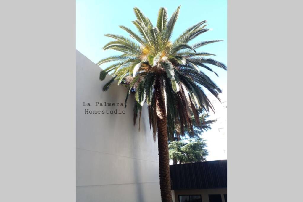 La Palmera Homestudio. Hermoso Apartamento En El Corazon De Palermo Hollywood Buenos Aires Kültér fotó
